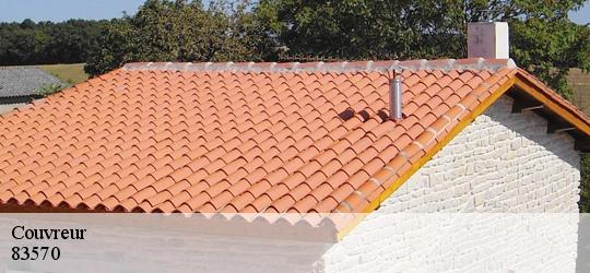 Couvreur 83570