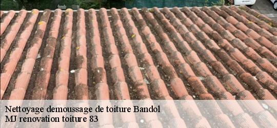 Nettoyage demoussage de toiture  bandol-83150 MJ renovation toiture 83