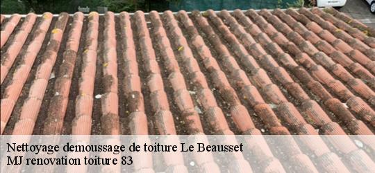 Nettoyage demoussage de toiture  le-beausset-83330 MJ renovation toiture 83