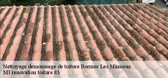 Nettoyage demoussage de toiture  bormes-les-mimosas-83230 MJ renovation toiture 83