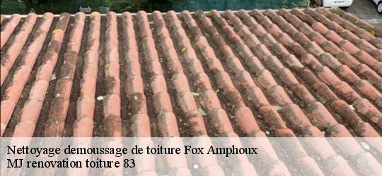 Nettoyage demoussage de toiture  fox-amphoux-83670 MJ renovation toiture 83