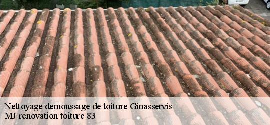 Nettoyage demoussage de toiture  ginasservis-83560 MJ renovation toiture 83