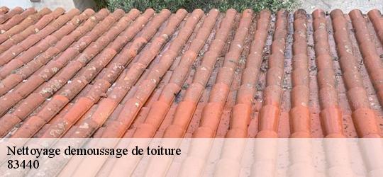 Nettoyage demoussage de toiture