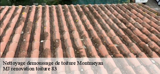 Nettoyage demoussage de toiture  montmeyan-83670 MJ renovation toiture 83