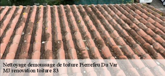 Nettoyage demoussage de toiture  pierrefeu-du-var-83390 MJ renovation toiture 83