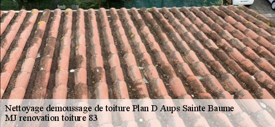 Nettoyage demoussage de toiture  plan-d-aups-sainte-baume-83640 MJ renovation toiture 83