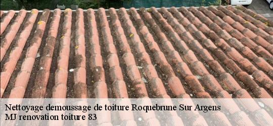 Nettoyage demoussage de toiture  roquebrune-sur-argens-83520 MJ renovation toiture 83