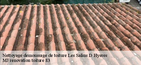 Nettoyage demoussage de toiture  les-salins-d-hyeres-83400 MJ renovation toiture 83