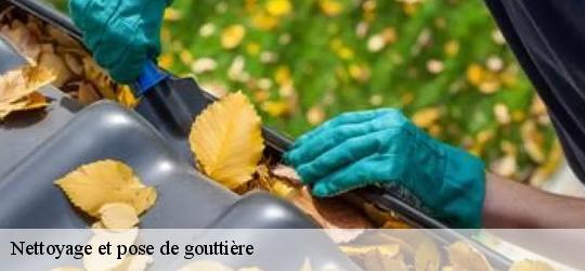 Nettoyage et pose de gouttière