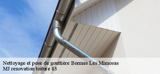 Nettoyage et pose de gouttière  bormes-les-mimosas-83230 MJ renovation toiture 83