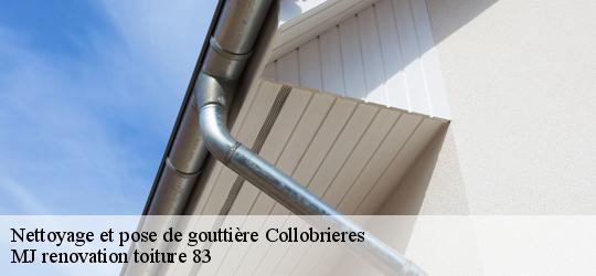 Nettoyage et pose de gouttière  collobrieres-83610 MJ renovation toiture 83