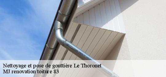 Nettoyage et pose de gouttière  le-thoronet-83340 MJ renovation toiture 83