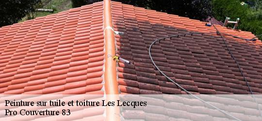 Peinture sur tuile et toiture les-lecques-83270 Pro Couverture 83