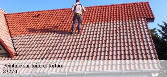 Peinture sur tuile et toiture 83270