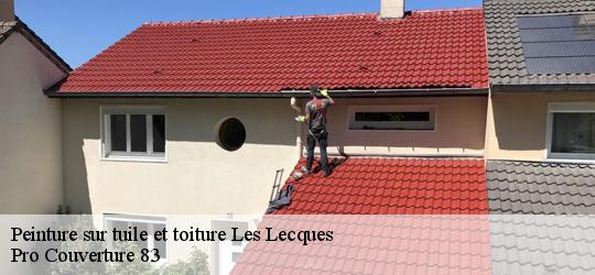 Peinture sur tuile et toiture 83270
