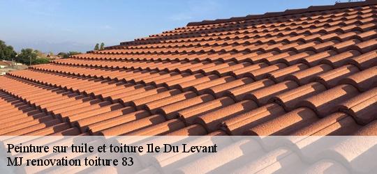 Peinture sur tuile et toiture  ile-du-levant-83400 MJ renovation toiture 83