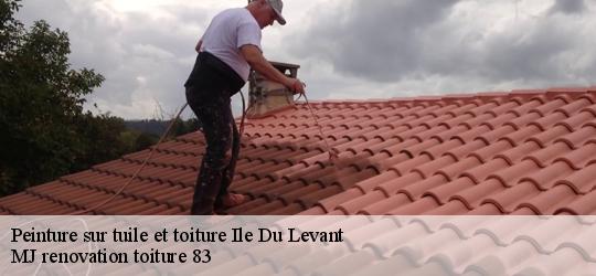 Peinture sur tuile et toiture  83400